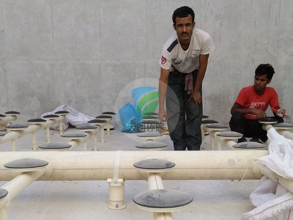 巴基斯坦市政生活污水曝氣系統安裝現場